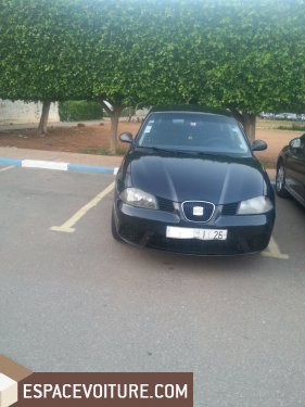 Ibiza Seat