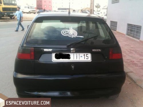 Ibiza Seat