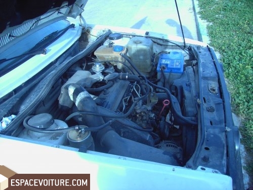 Golf Volkswagen