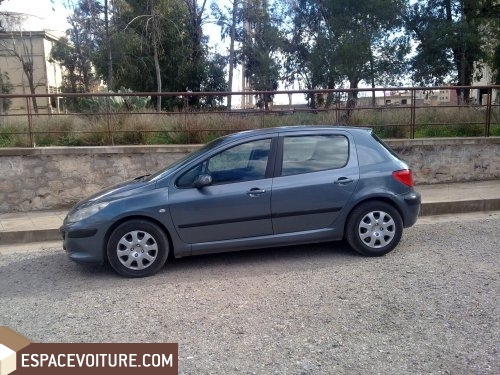 307 Peugeot