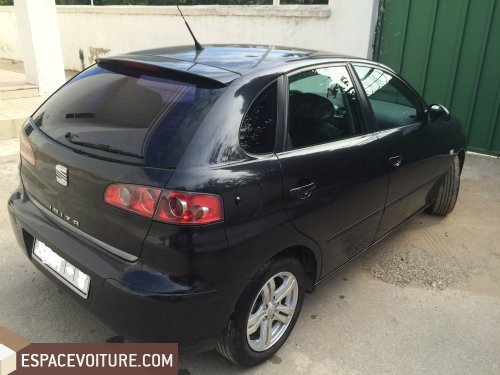 Ibiza Seat