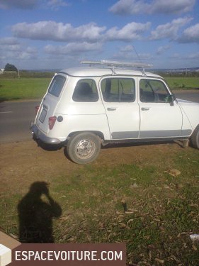 4l Renault