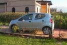 Suzuki Celerio