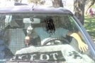 Peugeot 306