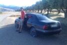 Rover 416