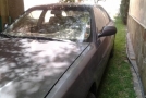 Honda Vigor
