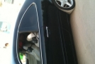 Mercedes-benz Clk